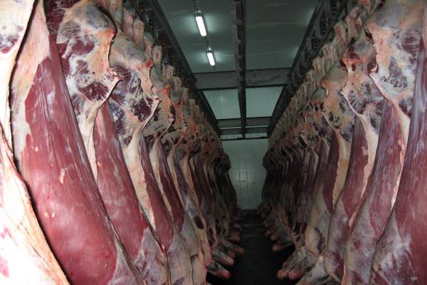 manitu Украина открыла рынок для свинины и говядины из Канады