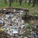Місто і життя: Элитный район в Житомире завален горами мусора. ФОТО