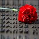 Люди і Суспільство: Сегодня в Житомире почтят память жертв Великой Отечественной войны