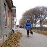 Надзвичайні події: На улицах Житомира разгулялся необычно сильный ветер