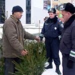 Экономика: За новогоднюю елку без специального чипа житомирян могут оштрафовать на 1750 гривен