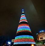 Світ: Самая высокая елка в Киеве, а одна из самых маленьких - в Житомире