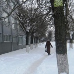 Житомирская Инспекция по благоустройству назвала адреса где плохо убирают снег. ФОТО