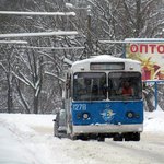 Жители Крошни в Житомире требуют увеличить количество троллейбусов в их микрорайоне