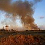 Житомирская область побила рекорд по количеству возгораний за сутки