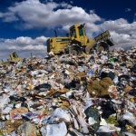 Суспільство і влада: Возле свалки мусора в Житомире планируют построить приют для собак