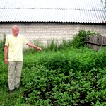 Кримінал: В Житомире милиция обнаружили плантацию конопли. ФОТО