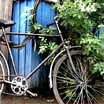 Люди і Суспільство: За кражу ржавого велосипеда 17-летней житомирянке грозит три года тюрьмы