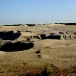 Гроші і Економіка: Сотни гектаров Житомирской области могут стать мертвой пустыней. ФОТО