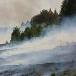 Житомирской области продолжают гореть три гектара торфяников