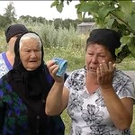 Житомирские крестьяне просят Януковича защитить их от самоуправства сельского головы