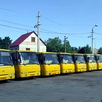 Місто і життя: Маршрутки киевского перевозчика работают в Житомире незаконно - Петюх