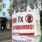 Партии «УДАР» и «Батькивщина» могут оштрафовать за рекламу на столбах в Житомире