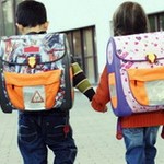 Из-за выборов в Житомире перенесут школьные каникулы