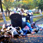 Мэр города остался не доволен качеством уборки и вывоза мусора в Житомире