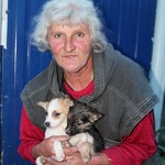 В Житомирской области пенсионерка содержит в своем доме 40 бродячих кошек и собак. ФОТО