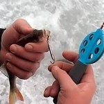 Надзвичайні події: Житомирские медики спасли парня, который на рыбалке проглотил блесну с тремя крючками