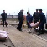 В Житомирской области мужчина перевозил тонну контрабандного мяса