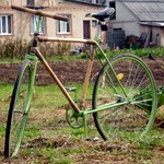 НОУ-ХАУ. Житель Житомирской области собрал велосипед из бамбука. ФОТО
