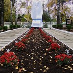 Місто і життя: В Житомире появился монумент памяти медработников - участников войны