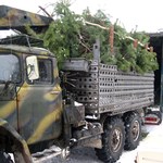На Житомирщине задержали водителей которые перевозили елки без чипов