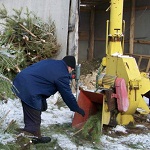 Житомирский Водоканал перерабатывает на топливо новогодние елки. ФОТО