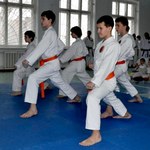 Спорт і Здоров'я: Житомирский клуб каратэ «Джите» провел поясовую аттестацию. ФОТО