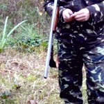 Надзвичайні події: В лесах Житомирской области браконьеры ежедневно убивают десятки животных