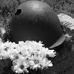 Житомирян просят помочь установить фамилии земляков, погибших в Первой мировой войне