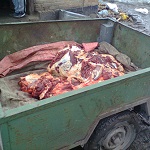 Подпольный мясной цех в своем доме устроила семья из Житомирской области. ФОТО