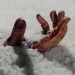 На Житомирщине школьник умер от холода, по дороге домой