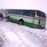 Автобус с 30 пассажирами, ехавшими в Житомир, попал в кювет
