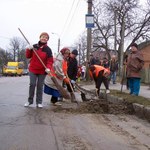 В Житомире местные жители неохотно приобщаются к уборке своих улиц. ФОТО