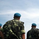 Военные, которые подрывали собак в Житомире, остались безнаказанными - Гриценко