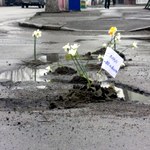 Люди і Суспільство: В Житомире под Автодором высадили цветы в дорожные ямы. ФОТО