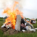 Кримінал: В Житомире сожгли наркотики на 2 миллиона гривен. ФОТО
