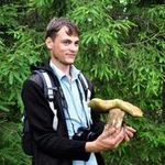 На Житомирщине стартует фотоконкурс «Человек и лес-2013». Победитель получит 1,5 тыс. грн