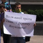 В Житомире прошел митинг против милицейского произвола и в поддержку жителей Врадиевки