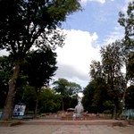 Для реконструкции Старого бульвара в Житомире намерены вырубить 117 деревьев
