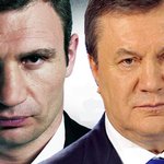 Держава і Політика: Во второй тур президентских выборов выйдут Кличко и Янукович - ОПРОС