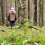 Люди і Суспільство: В Житомирской области заблудившаяся старушка провела в лесу четыре дня