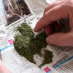 Кримінал: В Житомире обнаружили землянку, где студенты курили травку