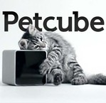 Украинский стартап Petcube выпускает роботов для развлечения домашних животных