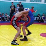 Спорт: В Житомире дети соревновались в чемпионате области по греко-римской борьбе