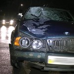 В Житомире водитель BMW насмерть сбил пешехода