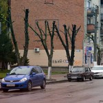 Місто і життя: «Зеленстрой» объяснил для чего кронируют деревья в Житомире