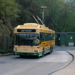 Депутаты облсовета накануне сессии поддержали выделение денег Житомиру на троллейбусы