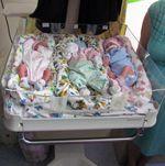 В Житомире за два месяца родилась вторая тройня. ФОТО. ВИДЕО