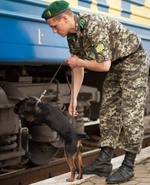 Украинские собаки-пограничники нуждаются в жилье