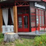 Місто і життя: В Житомире возле кинотеатра «Украина» незаконно срезали дерево. ФОТО